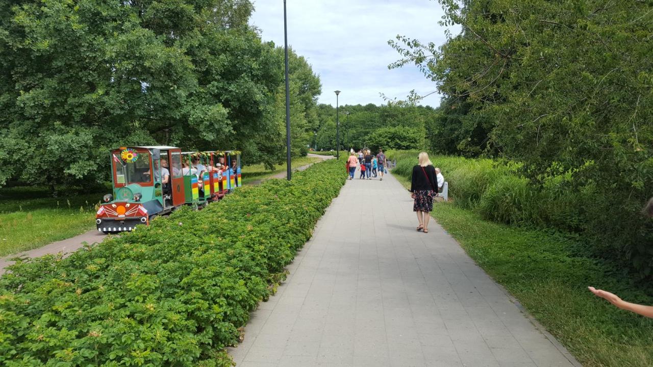 Leilighet Jagiellonska